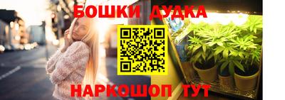 стаф Бузулук