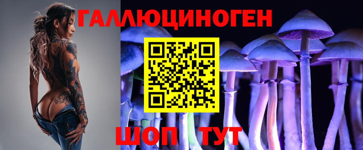 Псилоцибиновые грибы Psilocybe  Вход с VPN  Рыбинск  Галлюциногенные грибы Magic Shrooms 